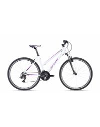 CTM MAXIMA 1.0 whitepurple pearl