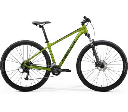 Merida BIG.NINE 20 VI1 MATT FALL GREEN(BLACK)
