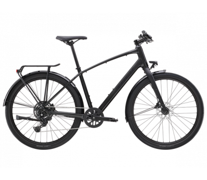 Dviratis TREK DUAL SPORT 2 EQ Gen 5 Lithium Grey