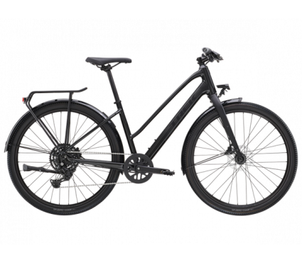 Dviratis TREK DUAL SPORT 2 EQ STAGGER Gen 5 Lithium Grey
